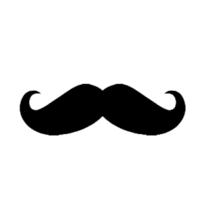 MrPlay