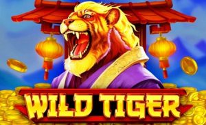 Wild Tiger Slot