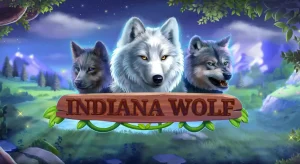 Indiana Wolf