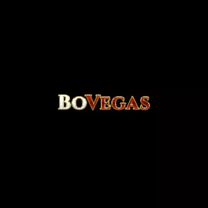 Bovegas casino